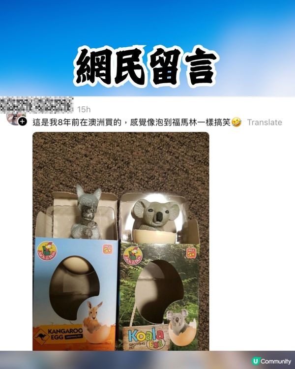 網民日本水族館買孵化玩具中伏🥚成品超爆笑：明顯是死胎🐧🇯🇵🤣