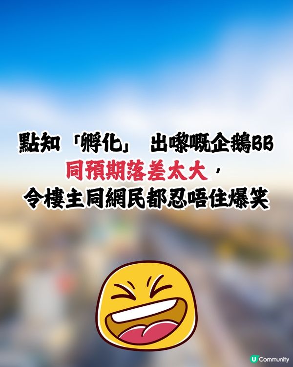 網民日本水族館買孵化玩具中伏🥚成品超爆笑：明顯是死胎🐧🇯🇵🤣