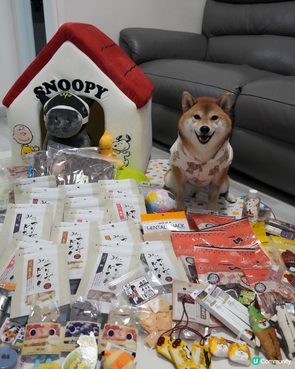 日本寵物用品 購物分享💕