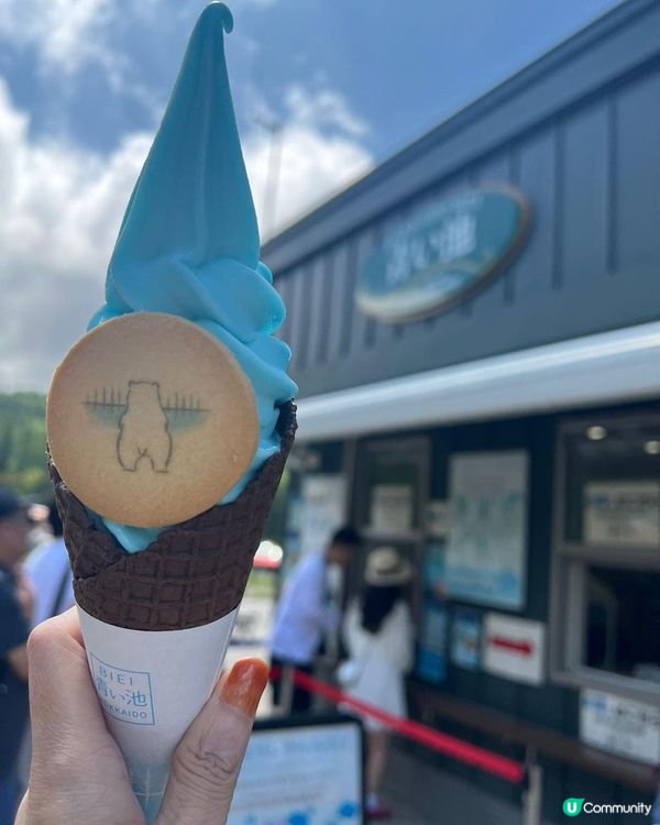 看着美麗的花朵🌺 🌻🪻與薰衣草田