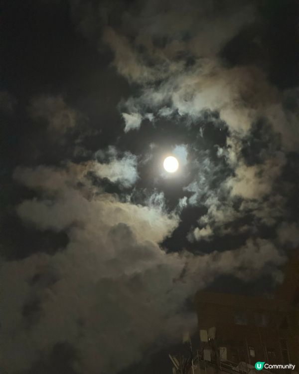 一年容易又中秋