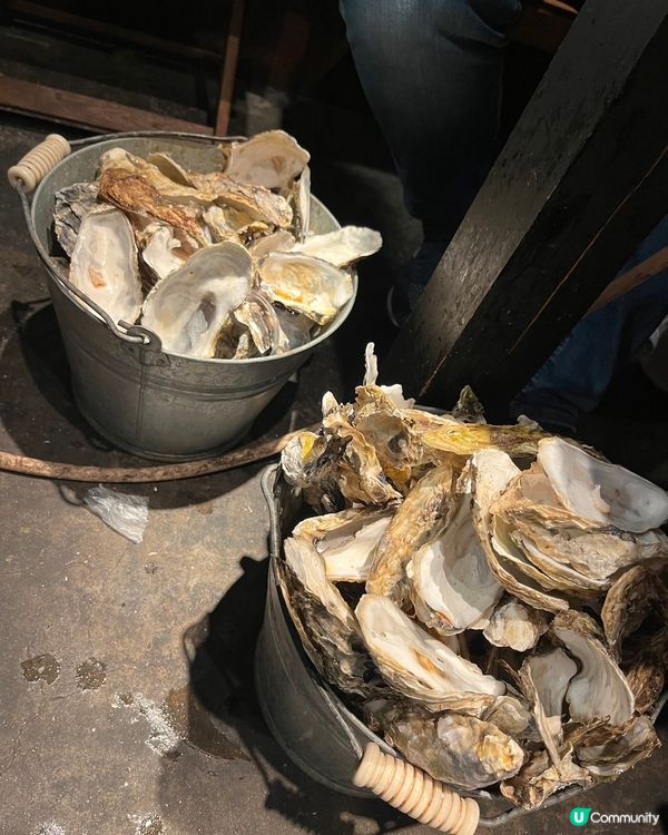 心齋橋蠔食放題｜任食生蠔炸蠔🦪