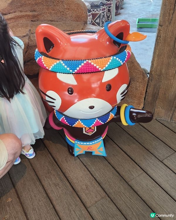 海洋公園小狐獴 😍