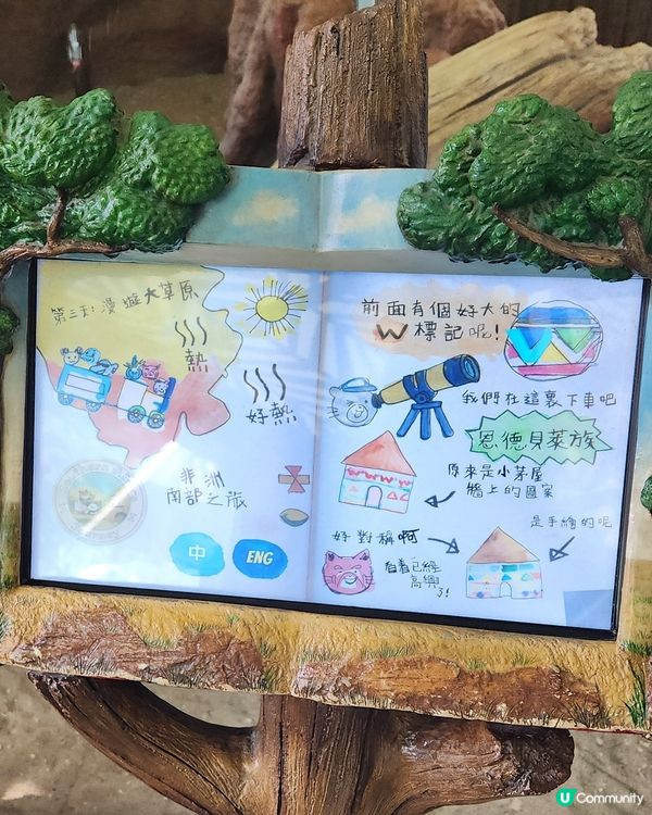 海洋公園小狐獴 😍