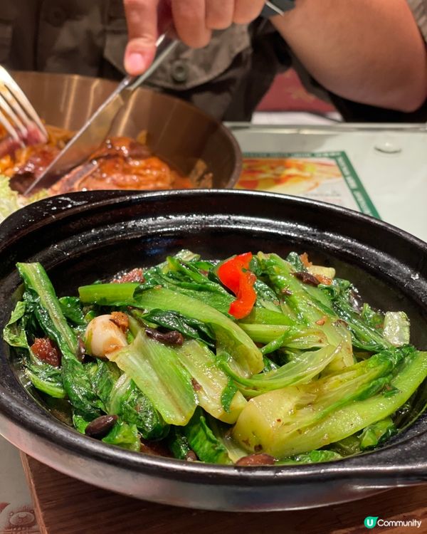 打卡可愛小熊飲料，港人都愛吃的茗星坊餐廳