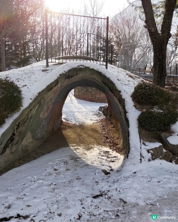 ## 韓國首爾林雪景打卡❄️超浪漫超有feel💜