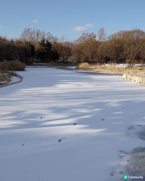 ## 韓國首爾林雪景打卡❄️超浪漫超有feel💜