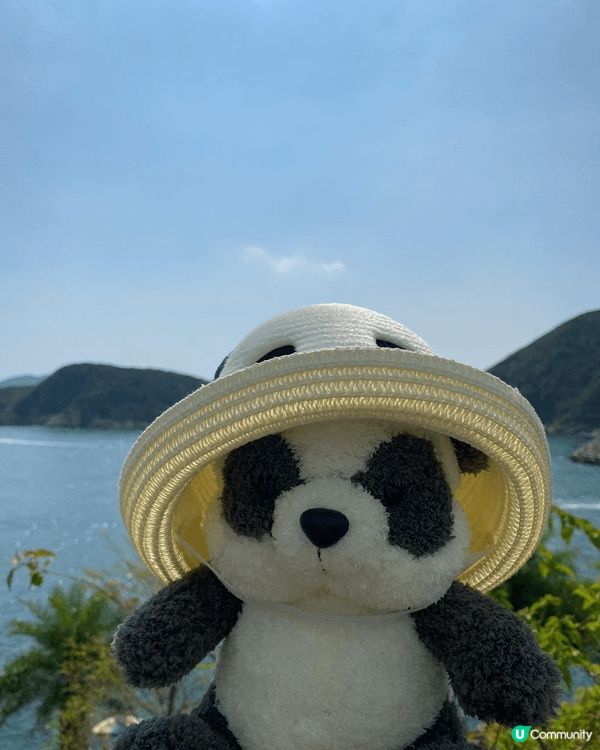 熊貓熱潮席捲而來，富麗敦酒店也不例外，成為了這股潮流的熱點之...