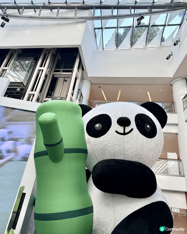 又係辣媽好介紹🤗