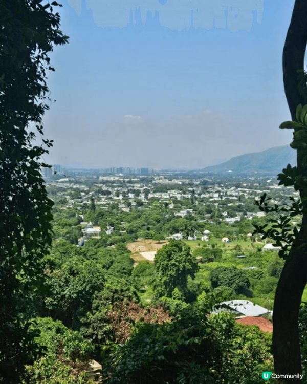 趁放假去河背水塘行下，景色優美又沓無人煙。近行程尾聲時，恰巧...