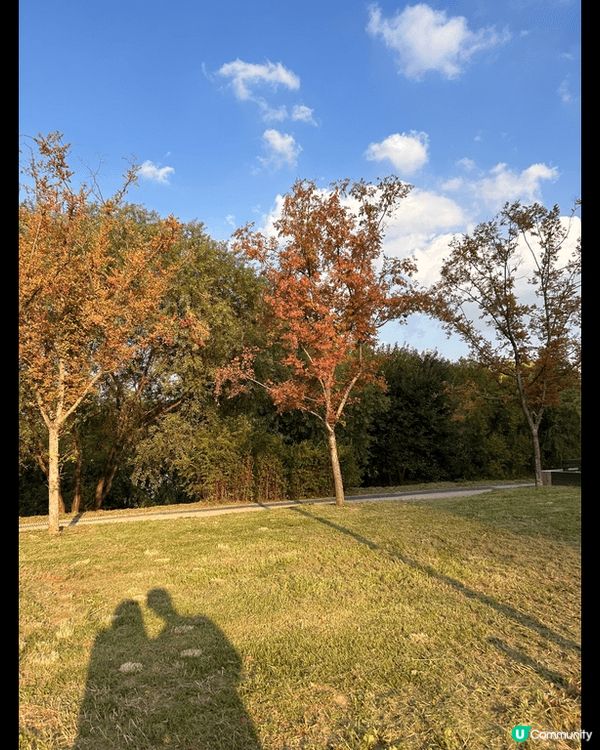 韓國首爾之旅 一連八日遊走熱門打卡熱點