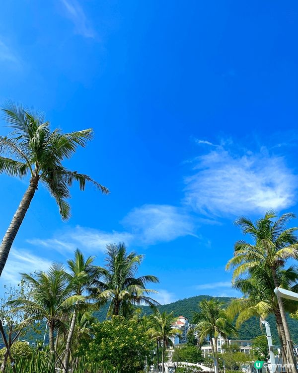 深圳必打卡海灘,到有風的地方看藍藍的大海