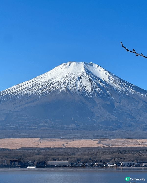 日本河口湖近距離觀看富士山??景色，仲有薰衣草雪糕??好好味...