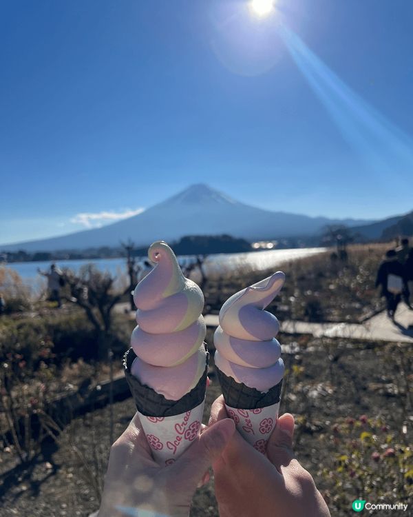 日本河口湖近距離觀看富士山??景色，仲有薰衣草雪糕??好好味...