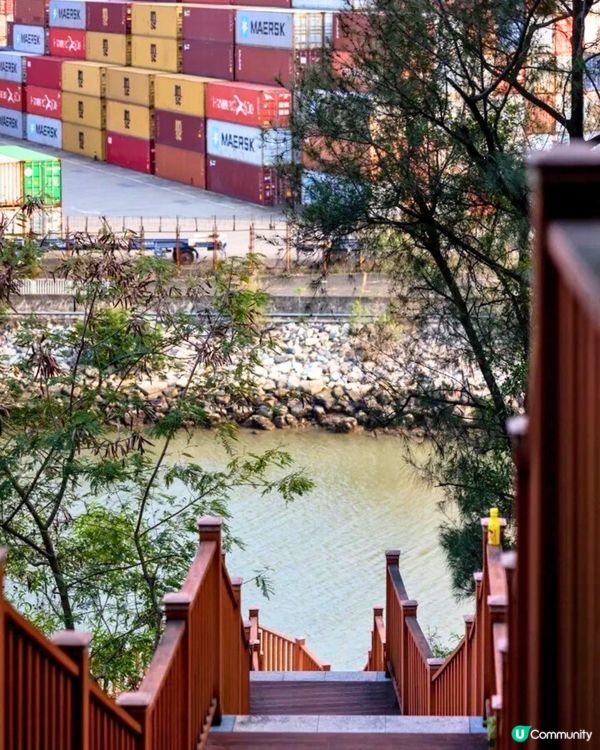 深圳6大絕美棧道🏞️新晉海邊棧道/必打卡日落公園🌞附地址+交通教學🚗