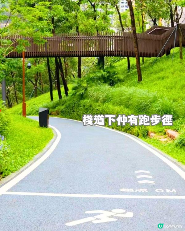 深圳6大絕美棧道🏞️新晉海邊棧道/必打卡日落公園🌞附地址+交通教學🚗