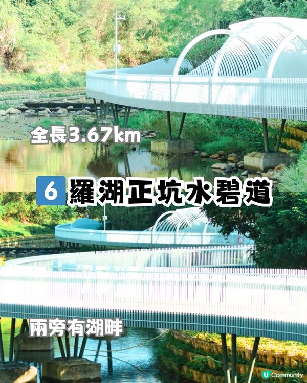 深圳6大絕美棧道🏞️新晉海邊棧道/必打卡日落公園🌞附地址+交通教學🚗