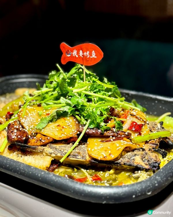 惹味烤魚x串燒 日本生啤買一送一 🌶🐟🍻