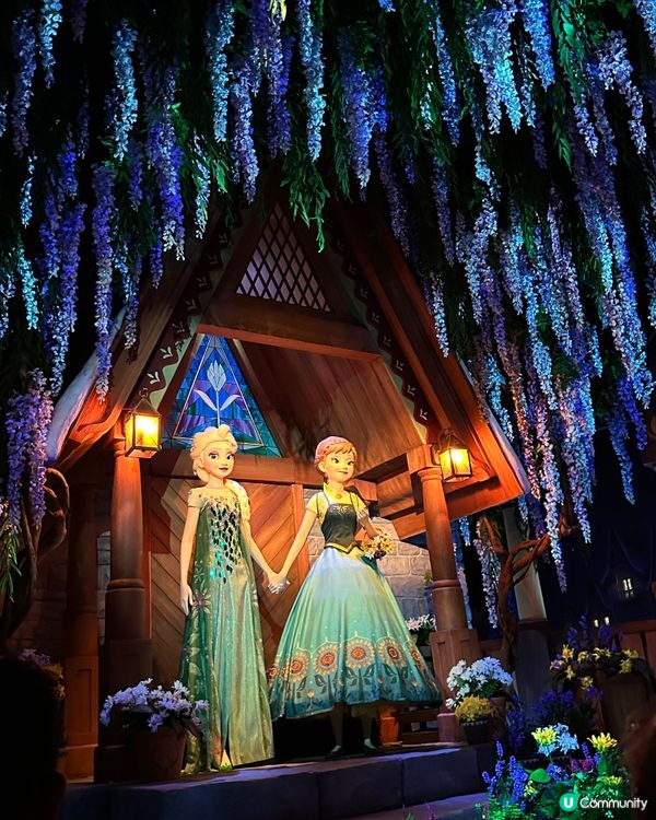 迪士尼大冒險家餐廳