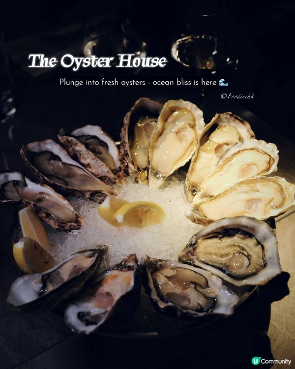 大隻肥美的新鮮生蠔，真的是一試難忘💖