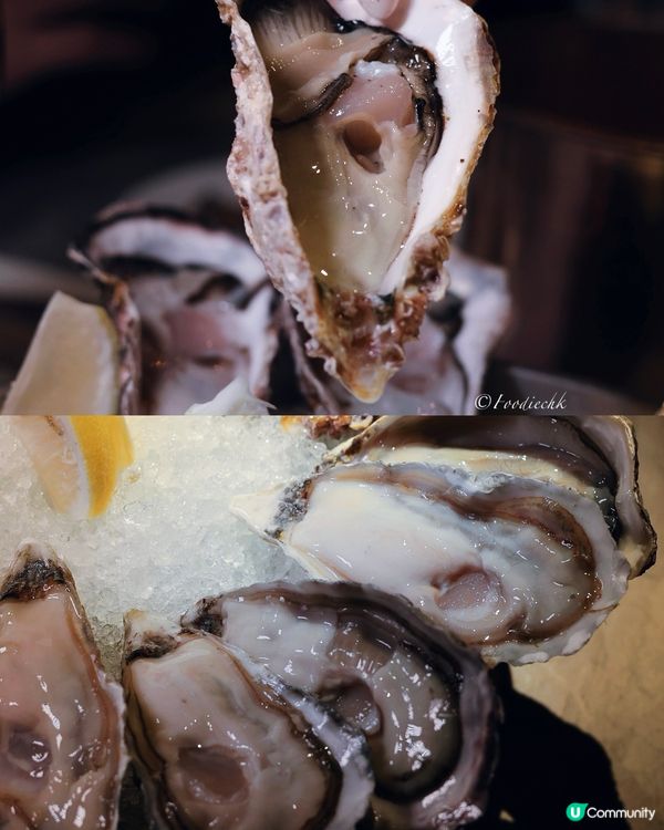 大隻肥美的新鮮生蠔，真的是一試難忘💖