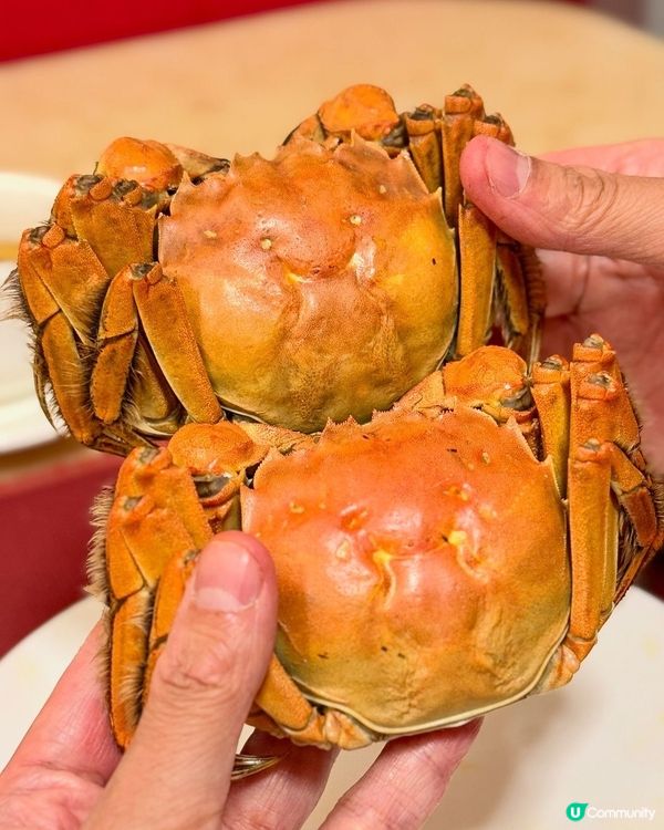 🦀 悅品酒店蟹逅之夜！食到停唔到！