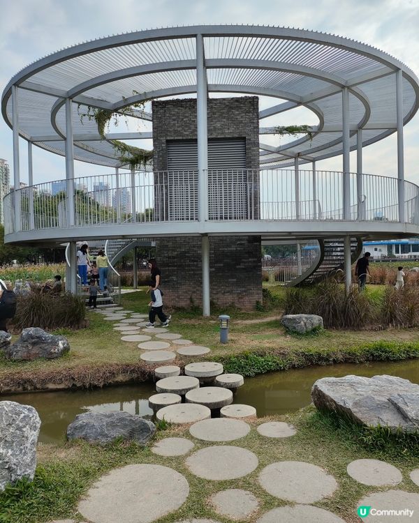 #深圳洪湖公園