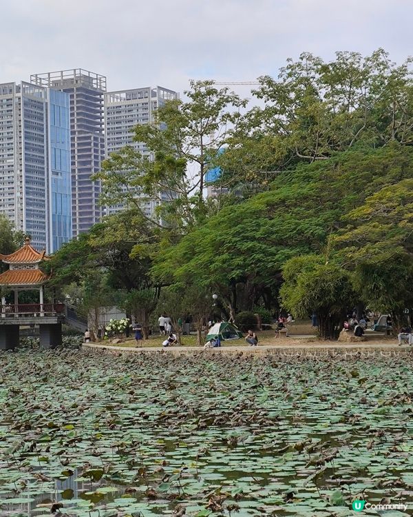 #深圳洪湖公園