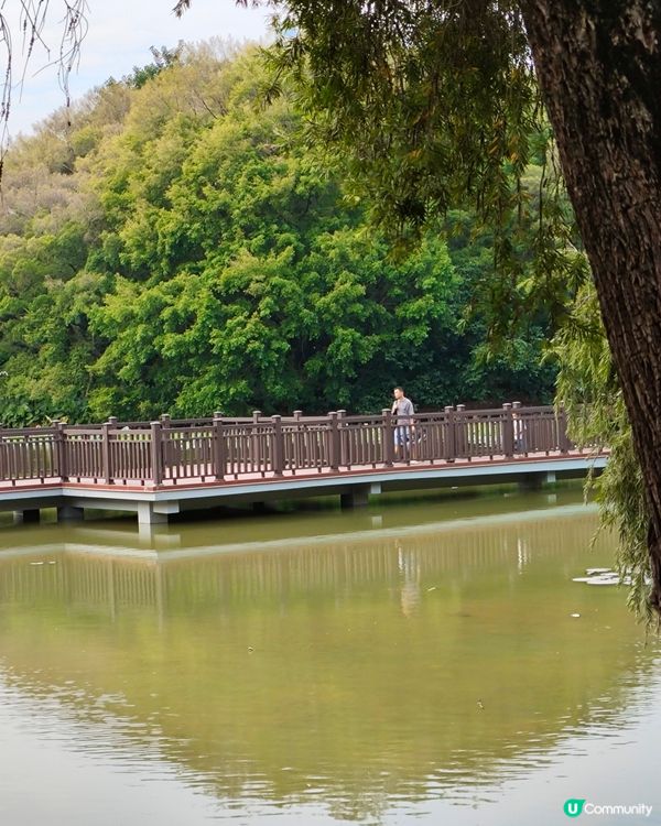 #深圳洪湖公園