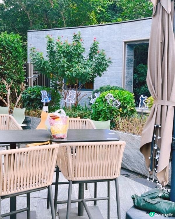 屯門輕鐵田景站有棵動漫感大樹，原來是地鐵範圍。多美食