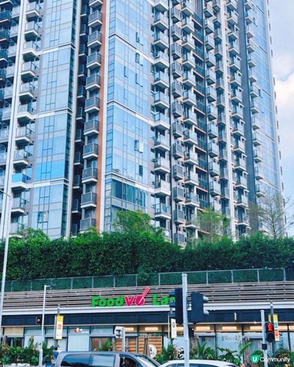 屯門輕鐵田景站有棵動漫感大樹，原來是地鐵範圍。多美食