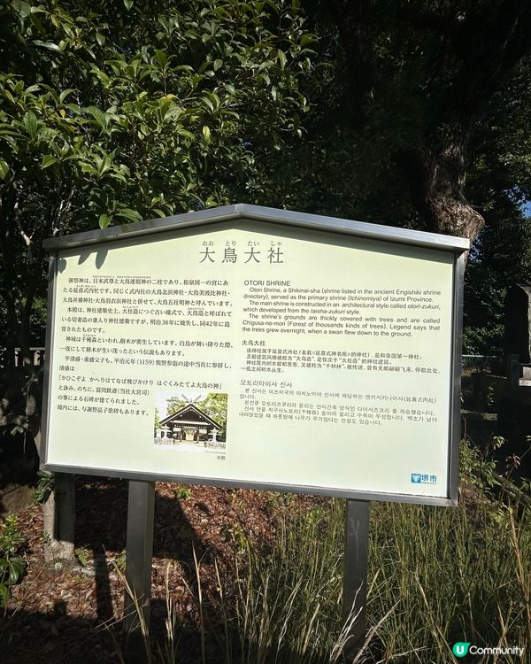 被譽為最美御守 — 大鳥大社