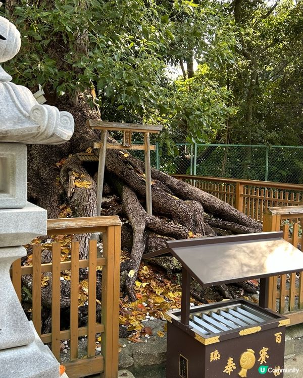 被譽為最美御守 — 大鳥大社