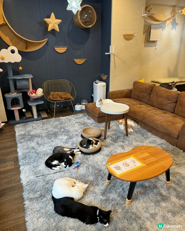 大阪三日月貓Cafe 