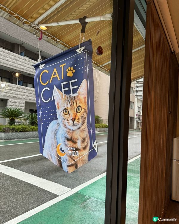 大阪三日月貓Cafe 