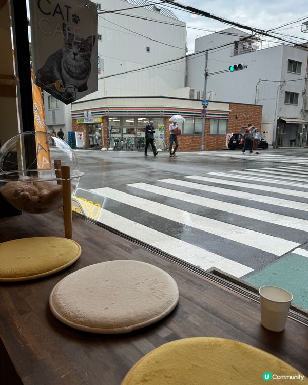 大阪三日月貓Cafe 