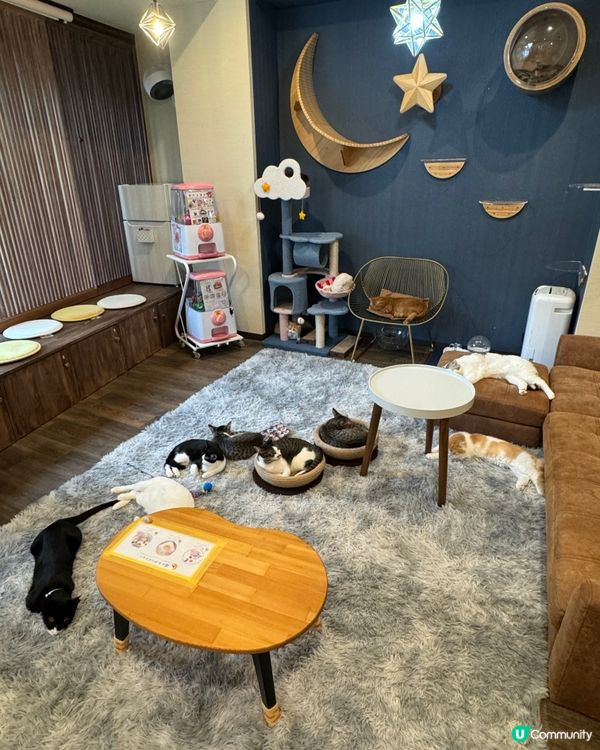 大阪三日月貓Cafe 