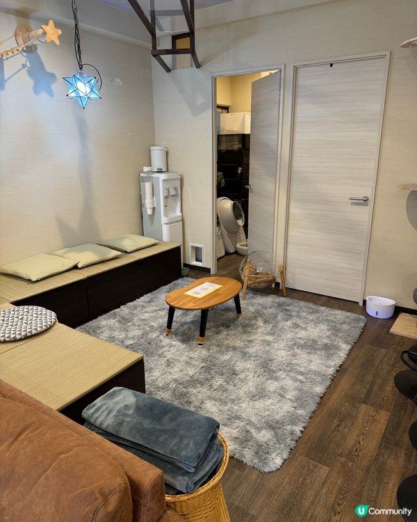 大阪三日月貓Cafe 