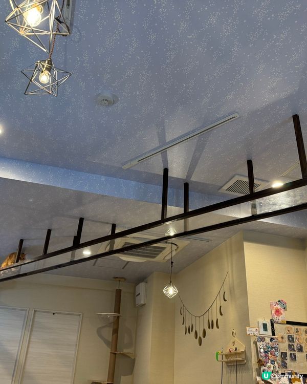 大阪三日月貓Cafe 