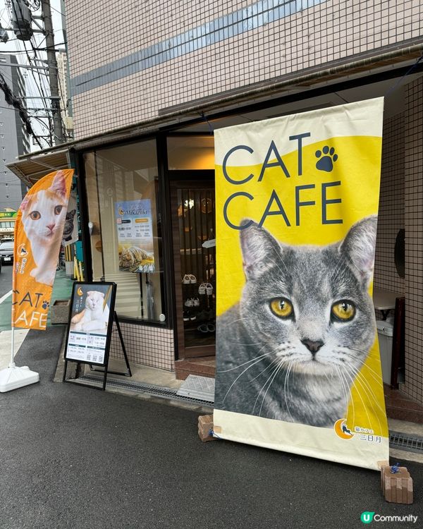 大阪三日月貓Cafe 