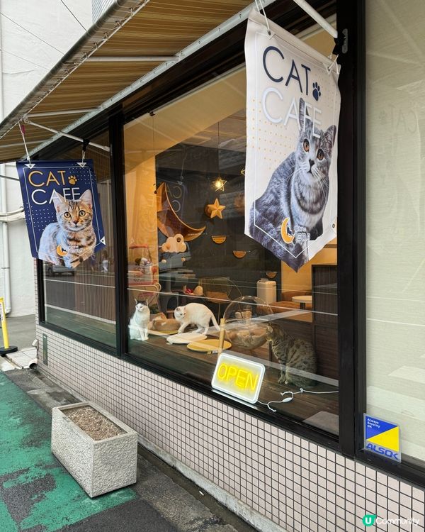 大阪三日月貓Cafe 