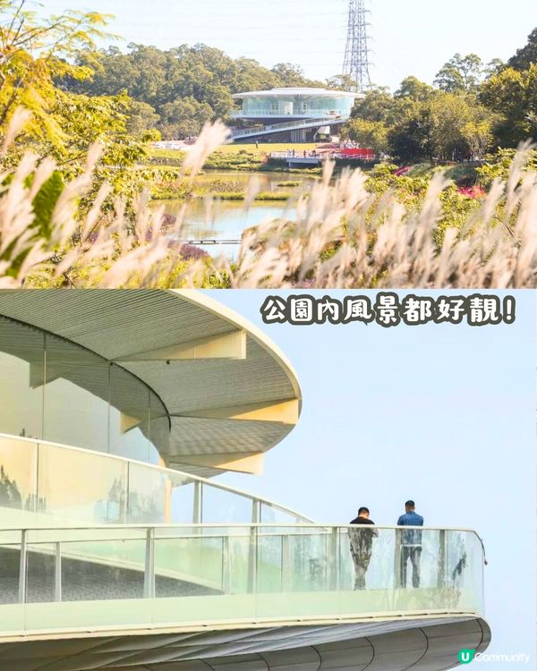 深圳隱世café 6大推介☕️中式庭園裝潢/雲頂美景☁️附地址+交通教學🚗