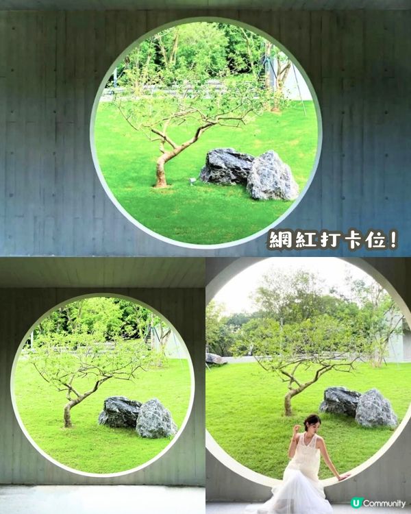 深圳隱世café 6大推介☕️中式庭園裝潢/雲頂美景☁️附地址+交通教學🚗