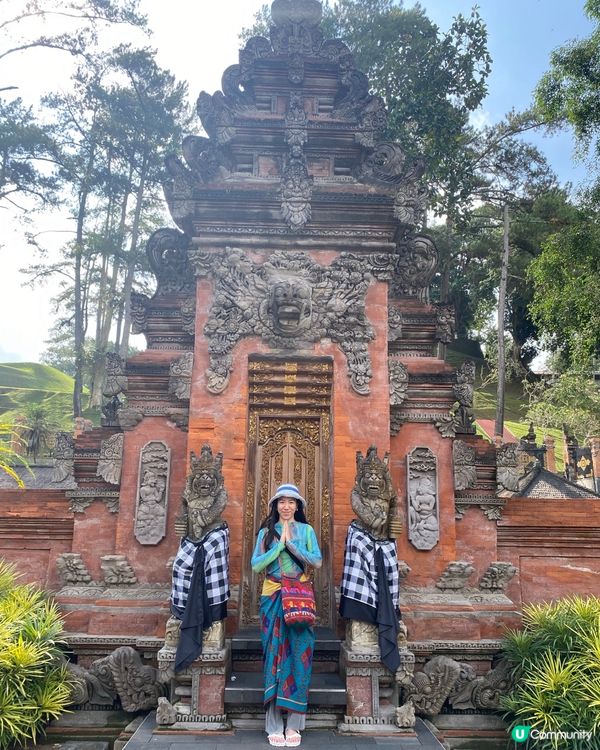 🌳充滿風土人情的峇里之旅💚🌲