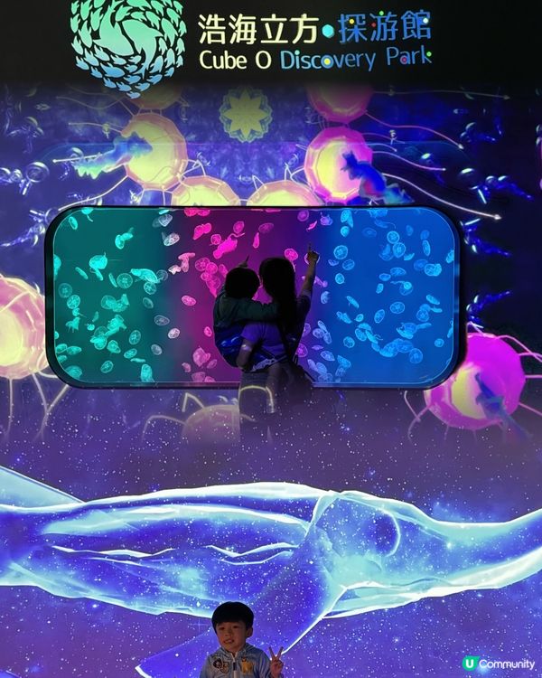 上次去完水母餐廳食嘢之後, Adrian一直對水母念念不忘❤...