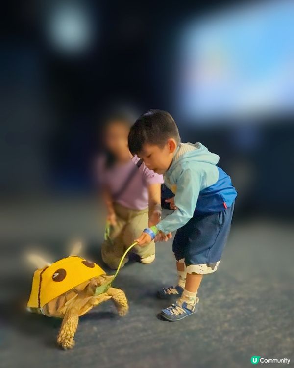 上次去完水母餐廳食嘢之後, Adrian一直對水母念念不忘❤...