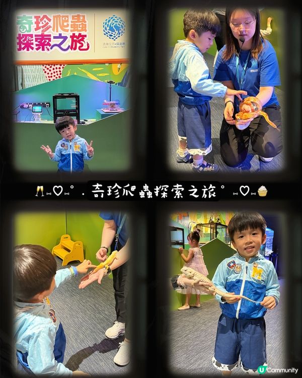 上次去完水母餐廳食嘢之後, Adrian一直對水母念念不忘❤...