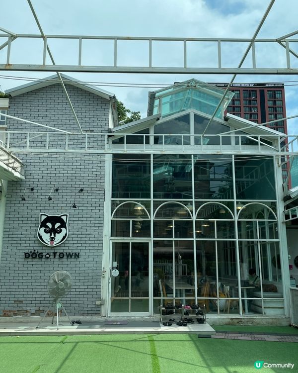 曼谷市內狗狗 Cafe