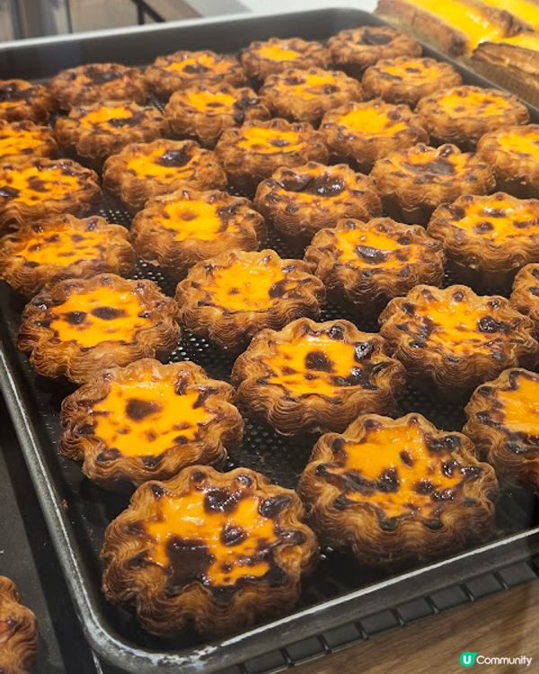 澳門篇：紅極一時的奶酪花杯子