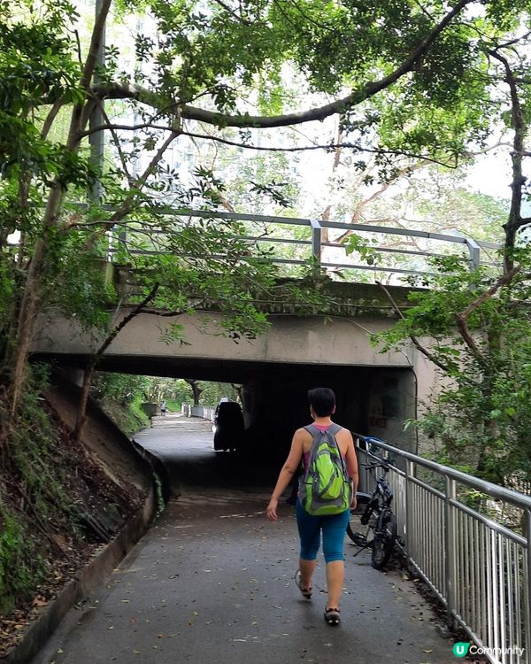 【太古至大潭道行山篇】三义洞、坑槽洞、蘑菇石/魚翅石/人面石